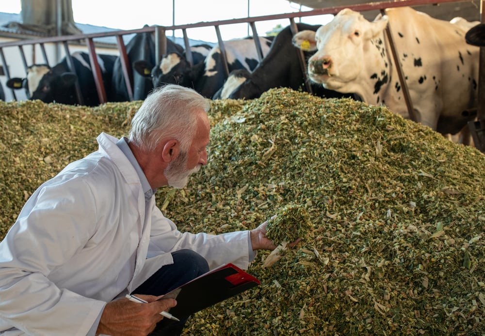 Conservación alimentos alimentación ganado pienso granjas Euronit